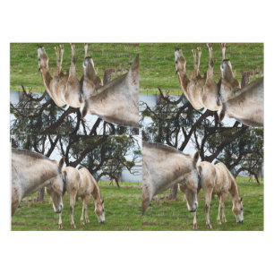 White Muddy Horses, Tablecloth