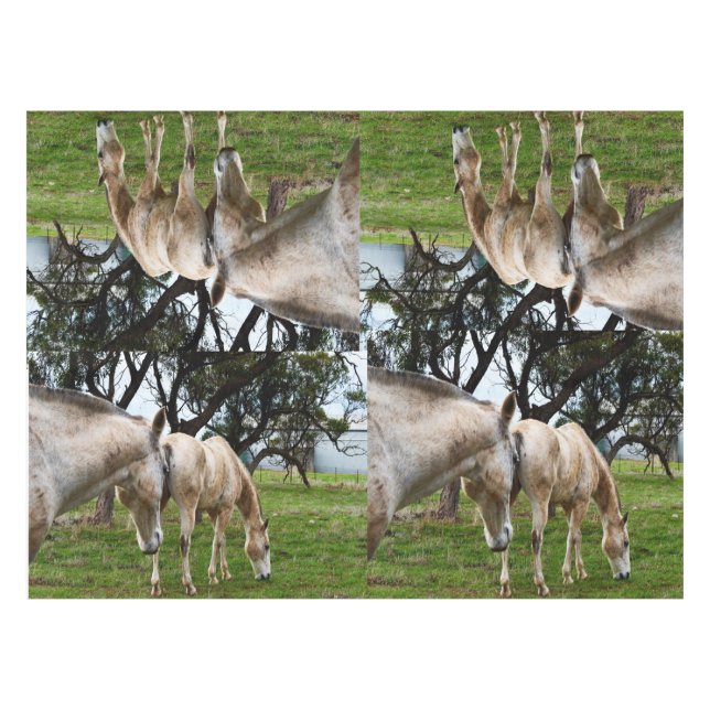 White Muddy Horses, Tablecloth (Front (Horizontal))