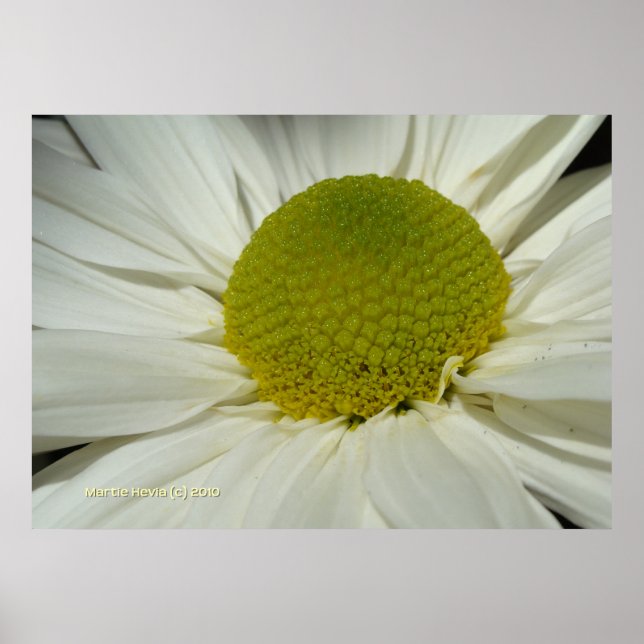 White Mum Poster (Front)