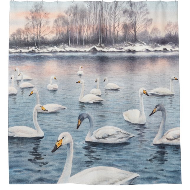 White mute swan on a lake. Watercolor paintingswan (Front)