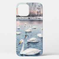 White mute swan on a lake. Watercolor paintingswan