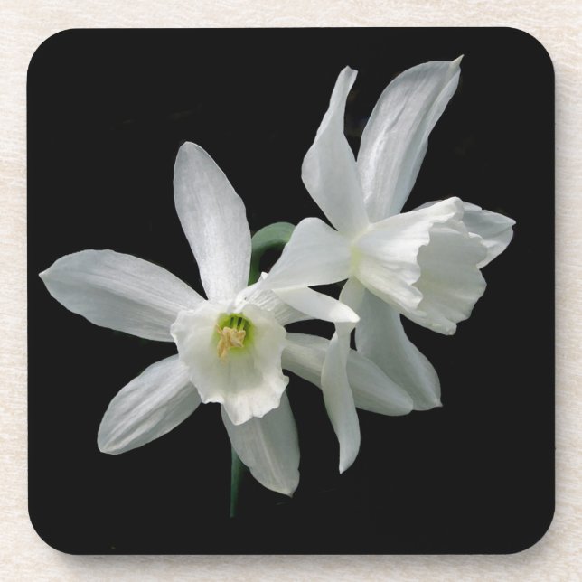 White Narcissus Coaster (Front)