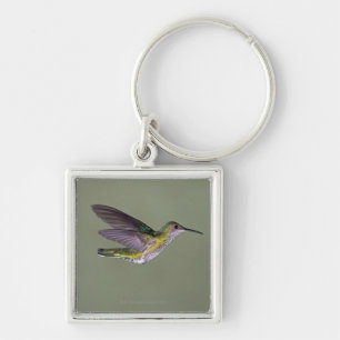 White-necked Jacobin Florisuga melivora Costa Keychain