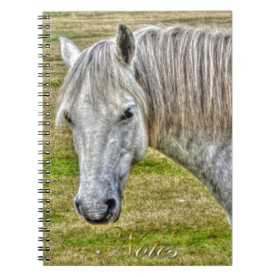 White New Forest Pony Wild Horse Notebook