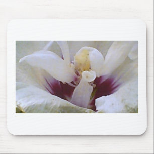 White on White Rose Bloom Mouse Pad