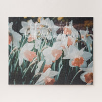 White Orange Daffodils in the Spring Garden