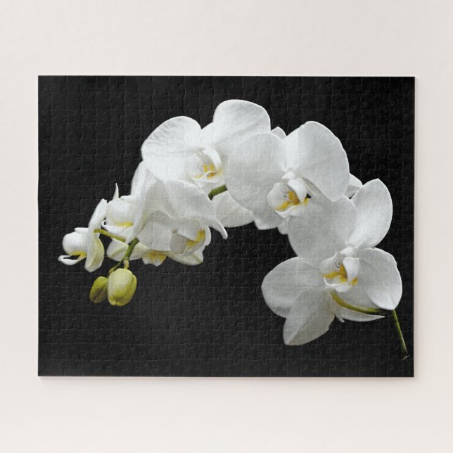 White Orchid Blossom Jigsaw Puzzle (Horizontal)