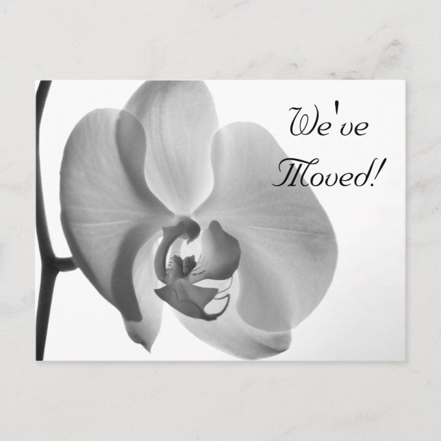 White Orchid Change of Address Announcement (Front)
