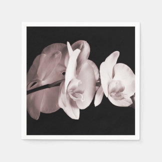 White Orchid Flower Black Background Abstract Napkin