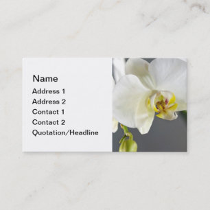 White Orchid Flower Business Card