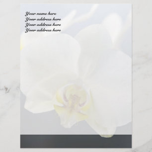 White Orchid Flower Letterhead