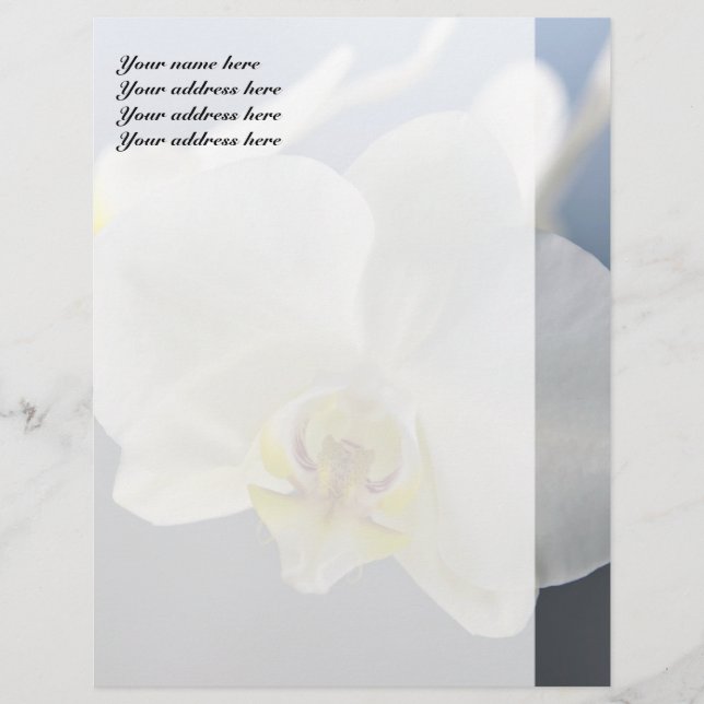 White Orchid Flower Letterhead (Front)