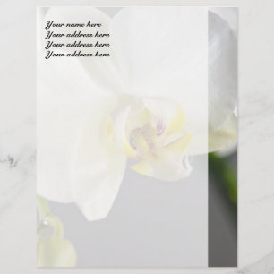 White Orchid Flower Letterhead