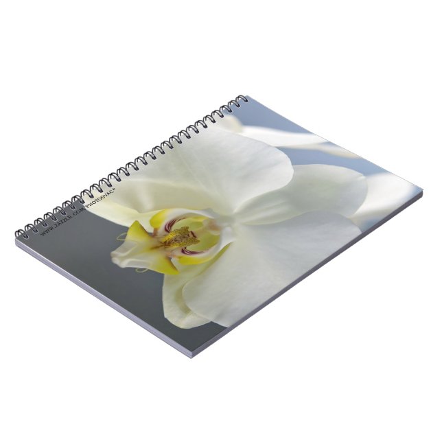 White Orchid Flower Notebook (Left Side)