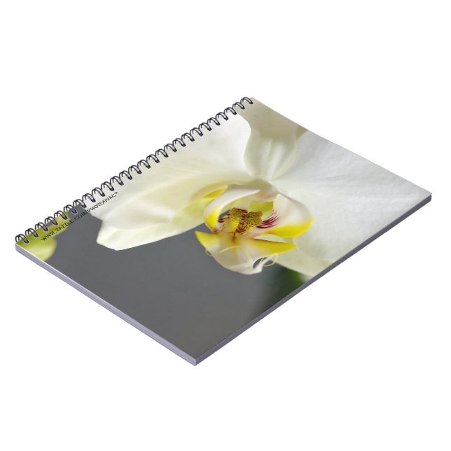 White Orchid Flower Notebook (Left Side)