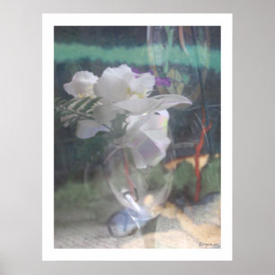 White Orchid Flowers Bouquet  Poster Prints