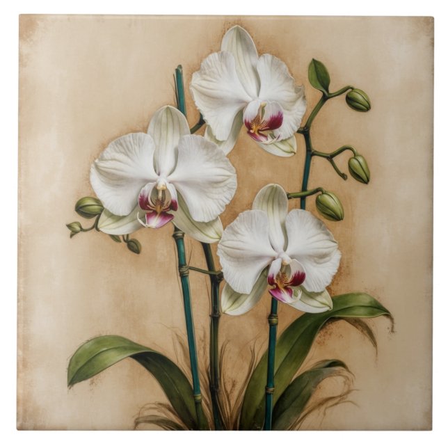 White Orchid Flowers Vintage Botanical  Tile (Front)