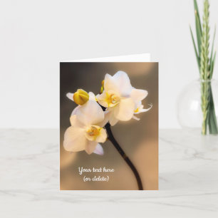 White Orchid Greeting card