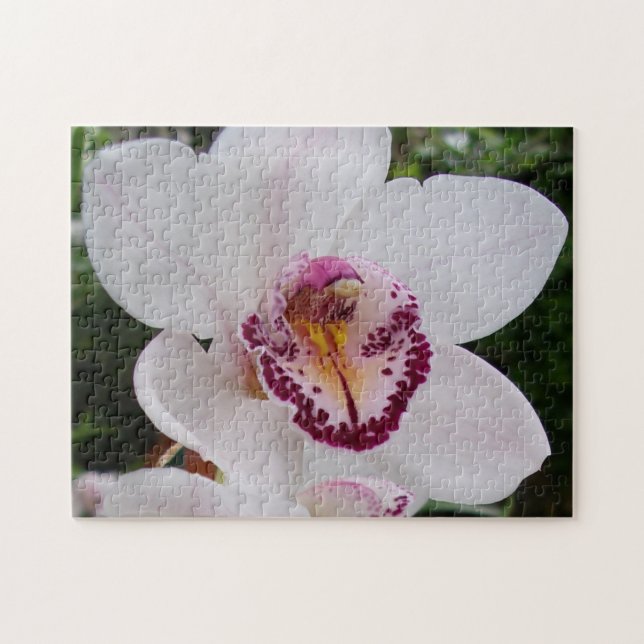 White Orchid I Beautiful Tropical Flower Jigsaw Puzzle (Horizontal)
