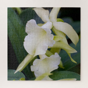 White Orchid Jigsaw Puzzle