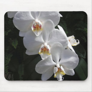 White Orchid Mousepad