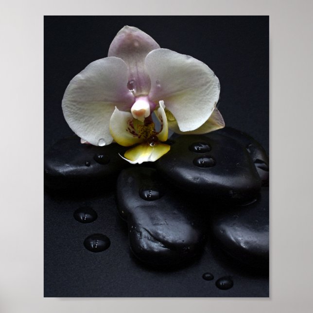 White Orchid On Black Stones Poster (Front)