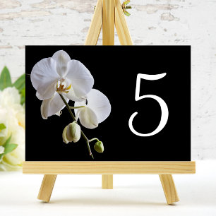 White Orchid on Black Table Numbers