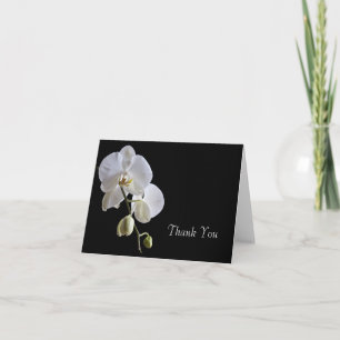 White Orchid on Black Thank You Card