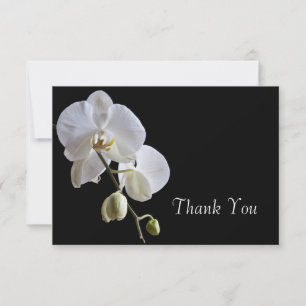 White Orchid on Black Wedding Flat Thank You Notes
