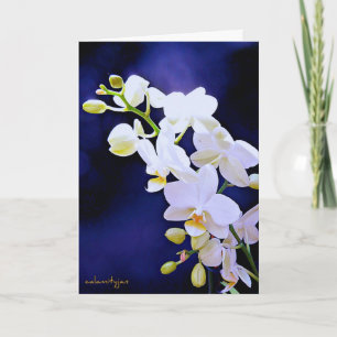 White orchid on royal blue Birthday Card