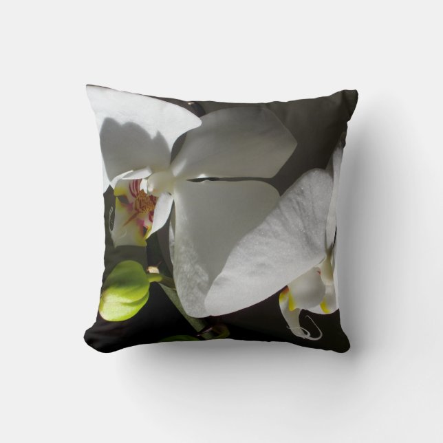 white orchid photo, tropical white floral photo throw pillow (Front)