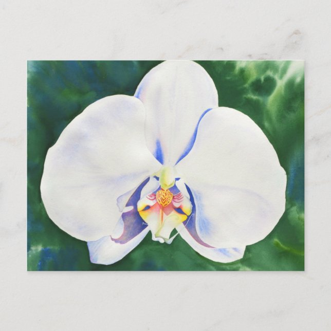 White Orchid Postcard (Front)