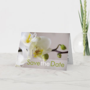 White Orchid Save the Date Card