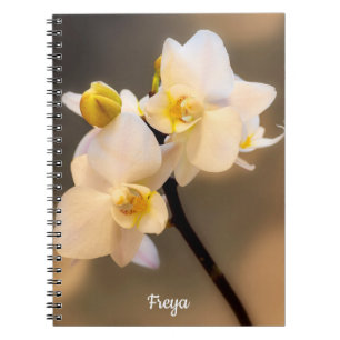 White Orchid Spiral Photo Notebook