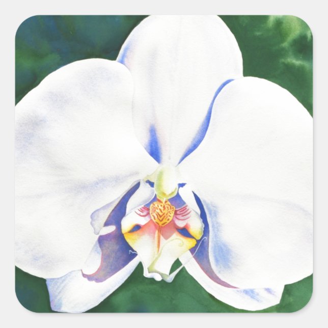 White Orchid Square Sticker (Front)