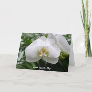 White orchid sympathy card