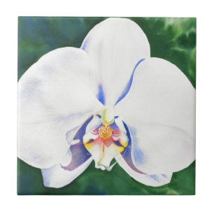 White Orchid Tile
