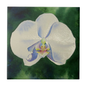 White Orchid Tile
