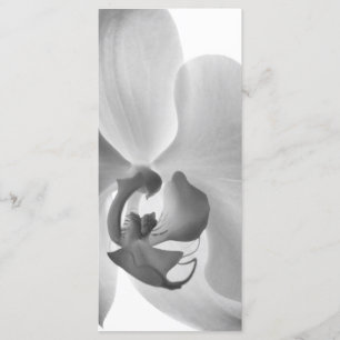 White Orchid Wedding Program