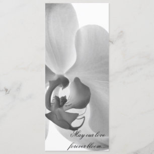 White Orchid Wedding Program