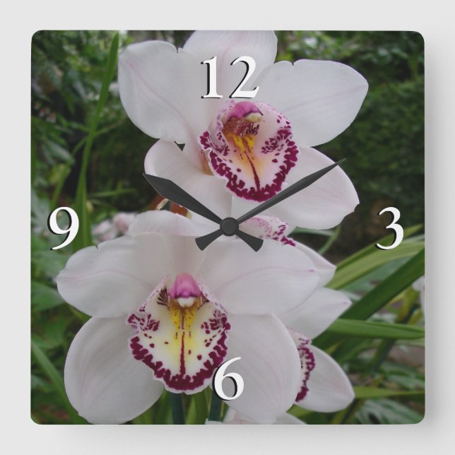 White Orchids Beautiful Tropical Flowers Square Wall Clock (Front)