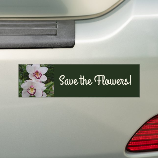 White Orchids Bumper Sticker (On Car)