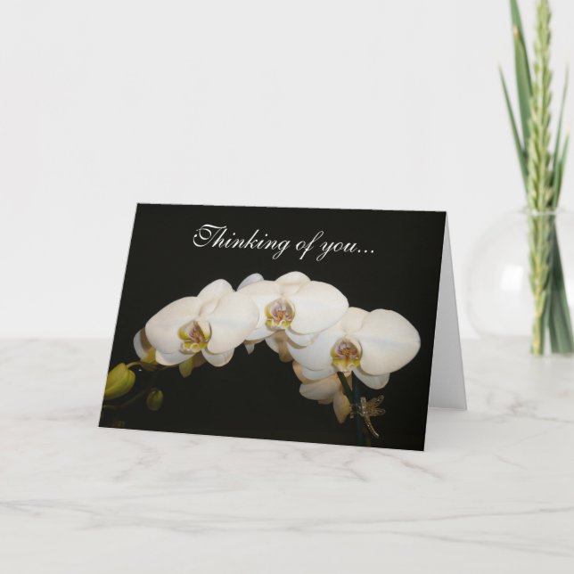 White Orchids Card (Front)