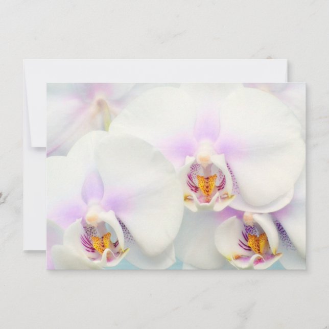 White Orchids Invitation (Front)