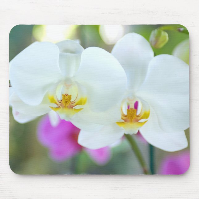 White Orchids Mouse Pad (Front)