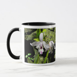 White Orchids Mug