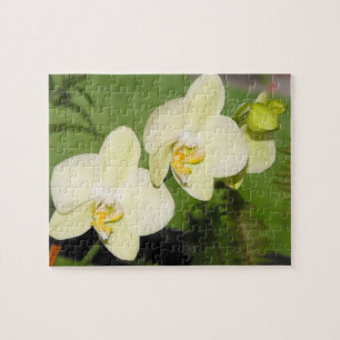 White Orchids on a green background Jigsaw Puzzle