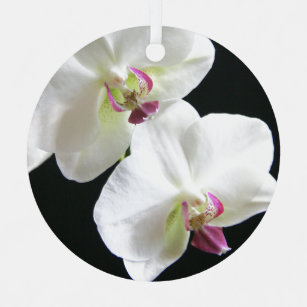 White Orchids on Black Christmas Ornament