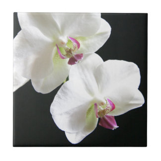 White Orchids on Black Tile