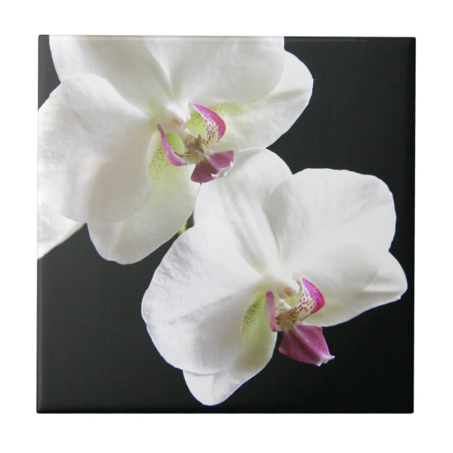 White Orchids on Black Tile (Front)